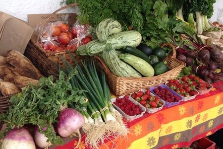 Graze Farmer's Market - Wednesday Mornings